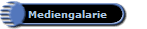 Mediengalarie