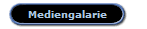 Mediengalarie